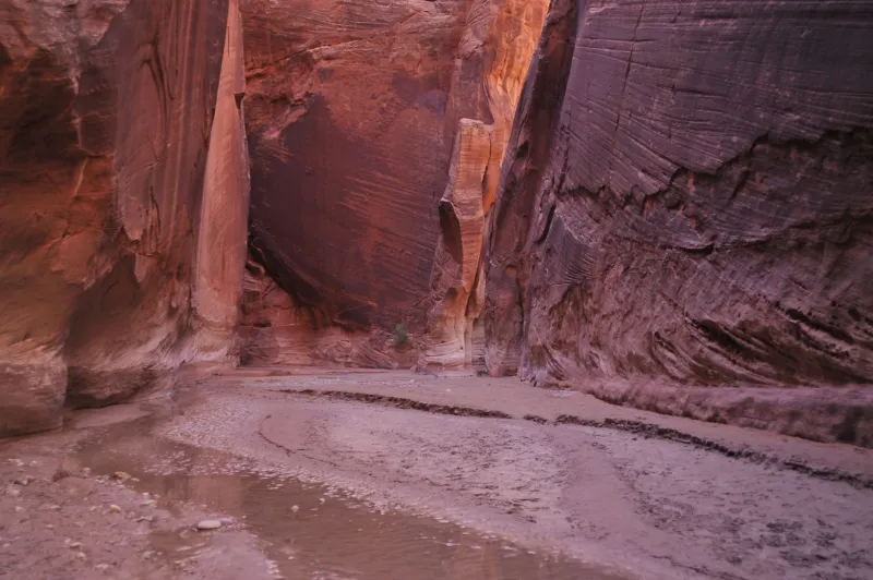 When the Desert Roars: Surviving Flash Floods in Utah's Canyon Country