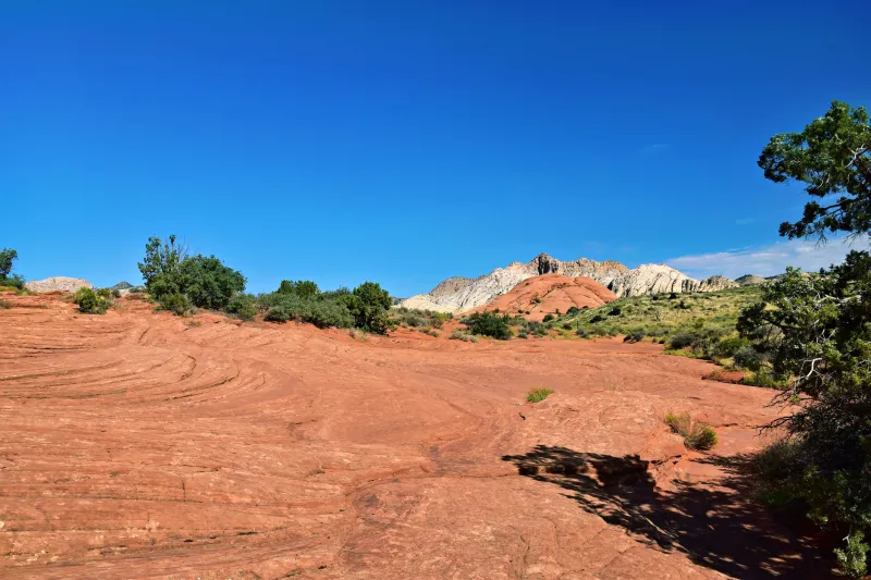 When the Heat Won't Break: A Utah Resident's Guide to Recognizing and Surviving Extreme Summer Heat Emergencies